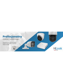 Kamera IP Hilook by Hikvision kopułka 6MP IPCAM-T6-30DL