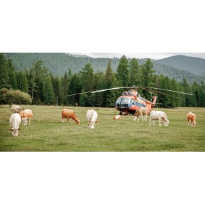 Kamera IP Imou Cell PT 4G kit 3MP bateryjna z panelem solarnym