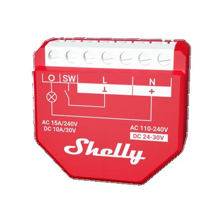 Shelly Qubino Wave 1PM