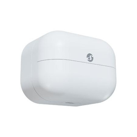 Shelly Wave Motion (2025)