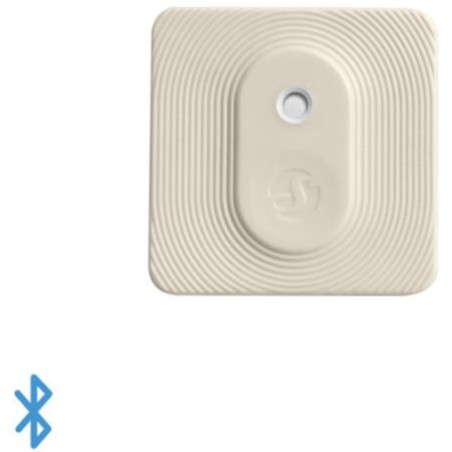 Shelly Blu H&T Ivory