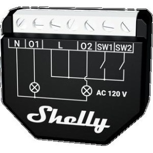 Shelly Qubino Wave 2PM