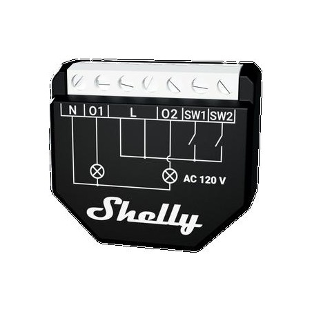 Shelly Qubino Wave 2PM