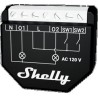 Shelly Qubino Wave 2PM