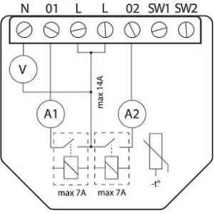 Shelly Qubino Wave 2PM