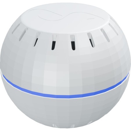 Shelly Wave H&T (2025)