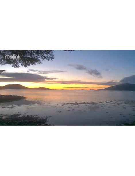 Kamera IP WiFi Reolink W320 5Mpix Wi-Fi P2P czarna