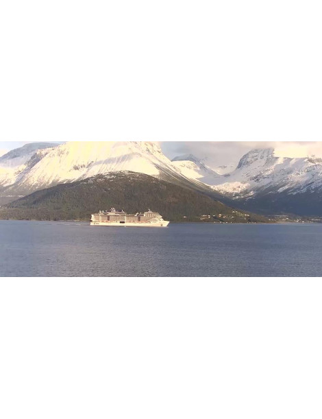 Kamera IP WiFi Reolink W320 5Mpix Wi-Fi P2P czarna